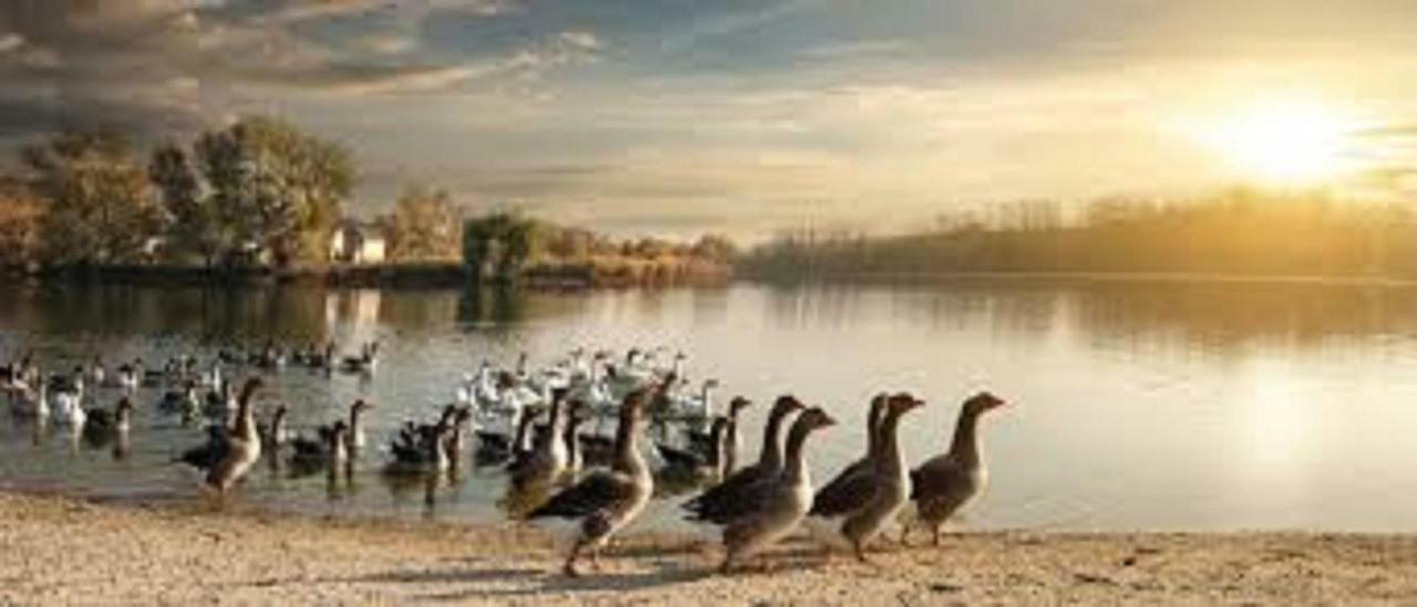 Вілла Les Pruniers De La Cipiere Peyzac-le-Moustier Екстер'єр фото